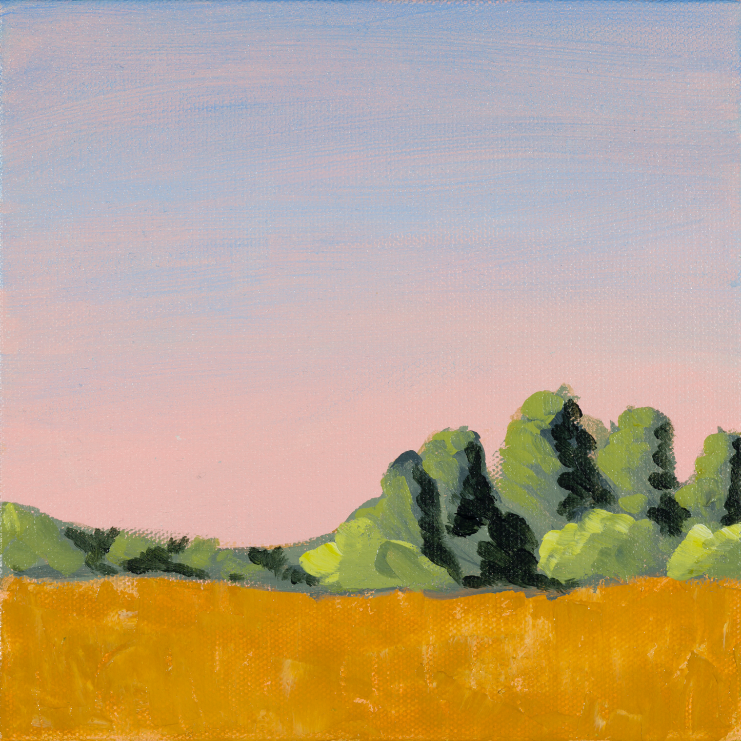 Grain Field Detail