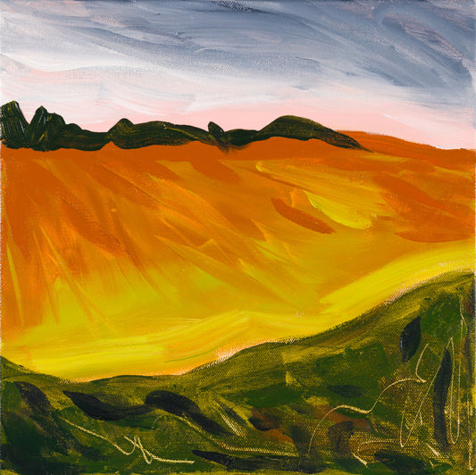 Funen Farm Field