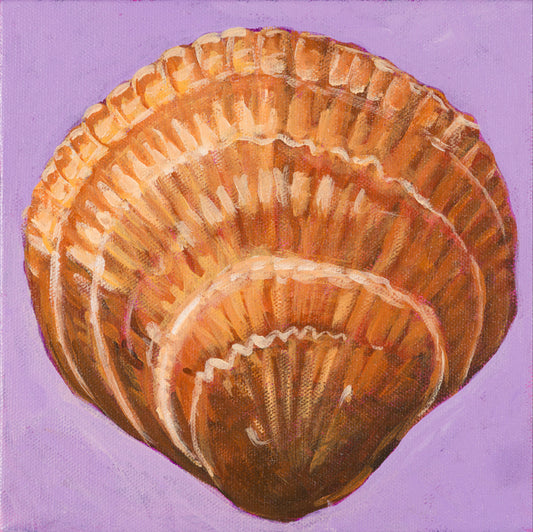 Spectral Bittersweet Clam (Holden Beach) giclee print