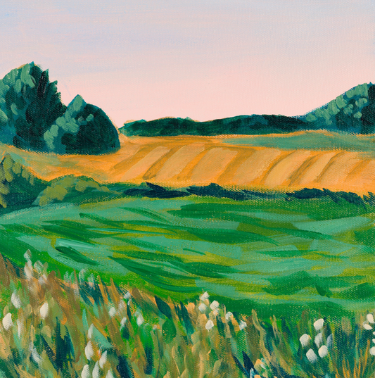 Funen Wildflowers
