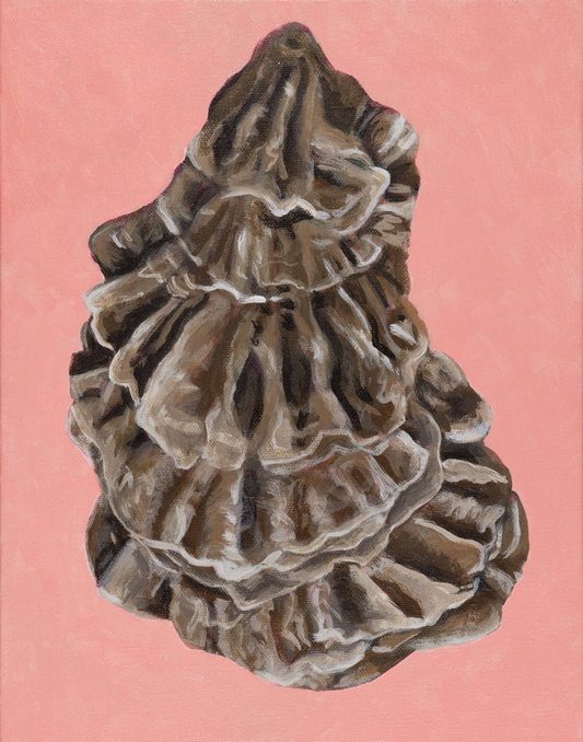 Ruffled Oyster